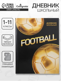 Дневник школьный для 1-11 классов, «Золотой мяч», твёрдая обложка 7БЦ, глянцевая ламинация, 40 листов