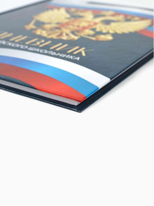 Дневник школьный 1-4 класс «Россия», твердая обложка 7БЦ, глянцевая ламинация, 48 листов