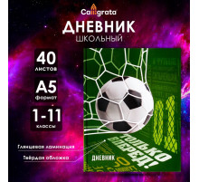 Дневник универсальный для 1-11 классов, «Футбол», твердая обложка 7БЦ, глянцевая ламинация, 40 листов