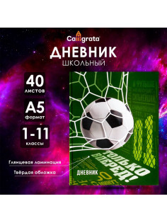 Дневник универсальный для 1-11 классов, «Футбол», твердая обложка 7БЦ, глянцевая ламинация, 40 листов