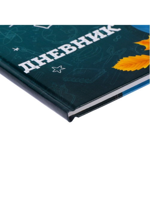 Дневник школьный для 1-11 классов, «Школа», твёрдая обложка 7БЦ, глянцевая ламинация, 40 листов