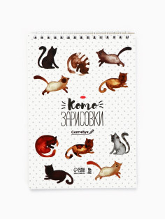 Скетчбук «Кот» А5, 40 л, 100 г/м²