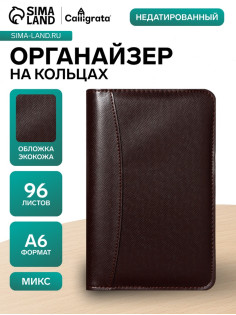 Ежедневник-органайзер Calligrata, А6, 96 листов, на молнии, обложка из искусственной кожи, МИКС