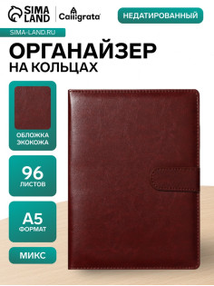 Ежедневник-органайзер Calligrata «Классика», А5, 96 листов, на кнопке, МИКС
