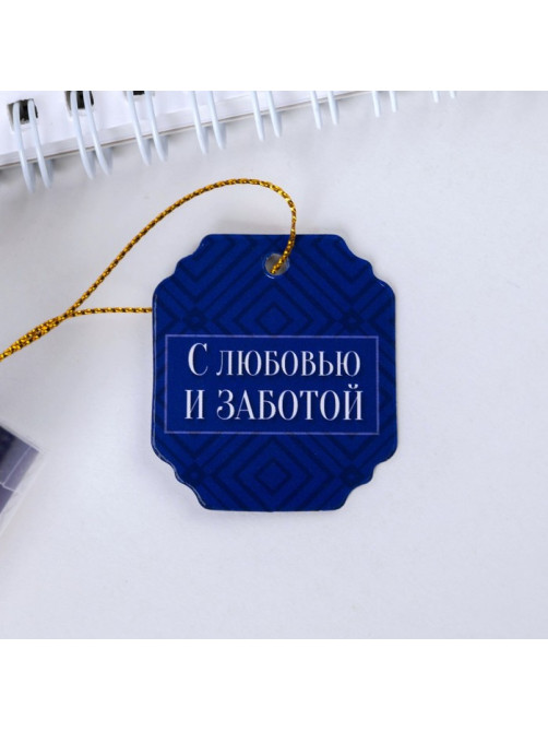 Ручка шариковая, синяя паста в тубусе, пластик «Любимому сыну»