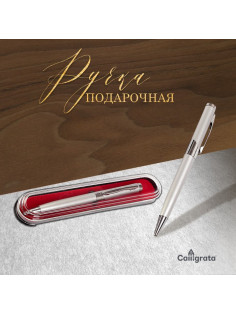 Ручка подарочная, шариковая «Бизнес» в пластиковом футляре, поворотная, серебристая