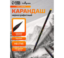 Карандаш чернографитный Calligrata, НВ, с ластиком, круглый, пластиковый, чёрный корпус с рисунком
