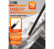 Набор карандашей чернографитных, 6 штук (14 В, 10 В, 8 В, 6 В, 4 В, 2 В)