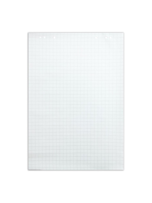 Блокнот для флипчарта в клетку Calligrata, 67.5×98 см, 20 листов, 80 г/м², белизна 92%