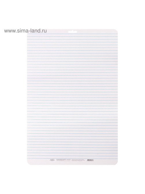 Доска маркерная A3 (49×33 см) Calligrata, двусторонняя: клетка/линейка, синяя