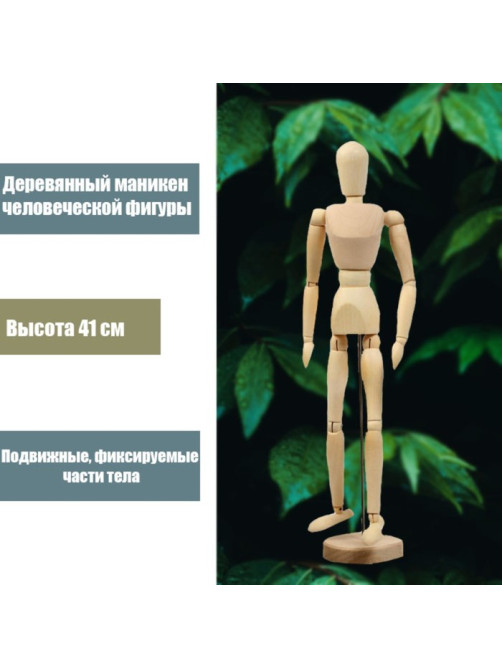 Деревянная модель - Человек 41 см