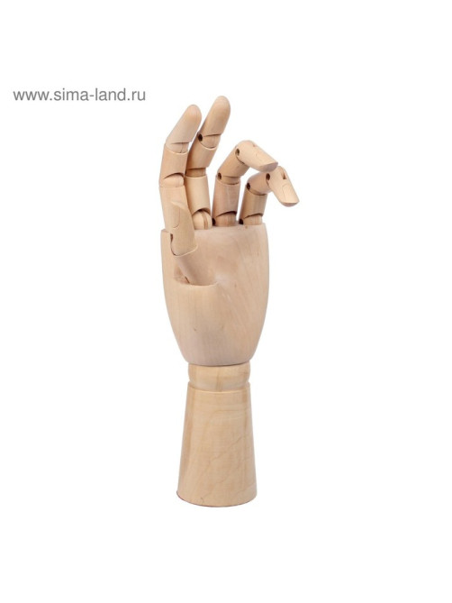Модель деревянная рука, мужская, левая, 31 см
