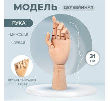 Модель деревянная рука, мужская, левая, 31 см