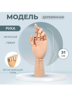 Модель деревянная рука, мужская, левая, 31 см