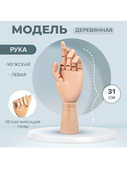 Модель деревянная рука, мужская, левая, 31 см