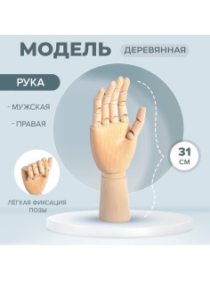 Модель деревянная художественная Манекен «Рука мужская правая» 31 см