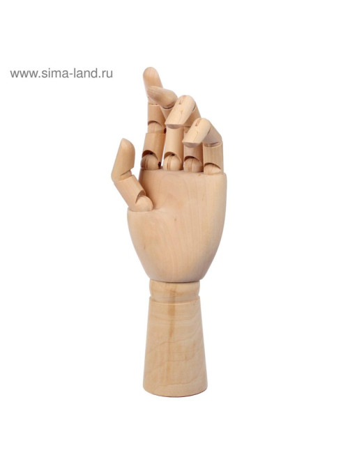 Модель деревянная рука, мужская, левая, 31 см