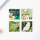 Магнитные закладки для книг, 4 шт., в открытке «Учитель №1»