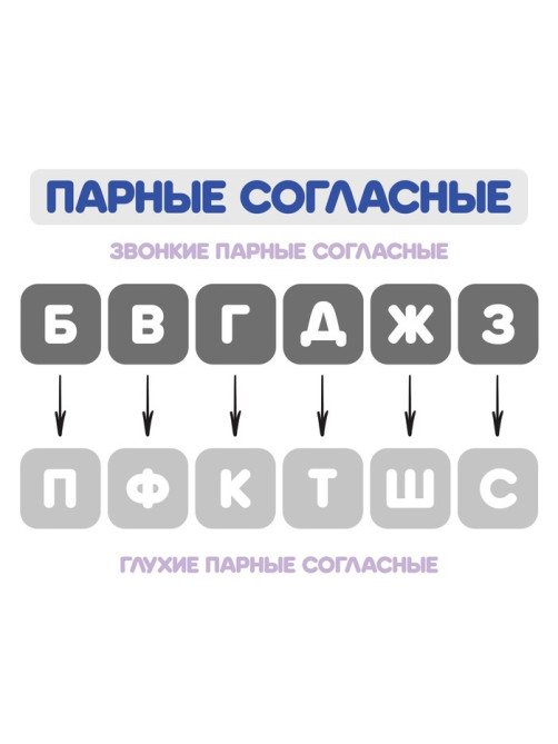 Веер-касса, парные согласные буквы, Calligrata, пакет с европодвесом
