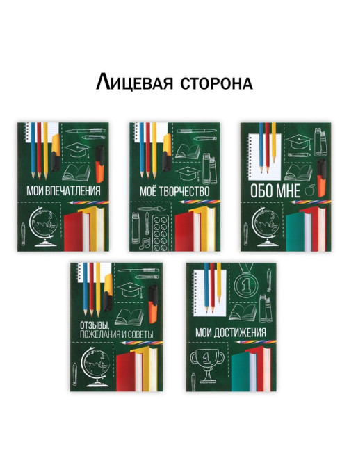 Папка школьная с креплением «Портфолио школьника», 10 листов-разделителей, 21.5×30 см