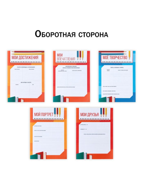 Папка школьная с креплением «Портфолио школьника», 10 листов-разделителей, 21.5×30 см
