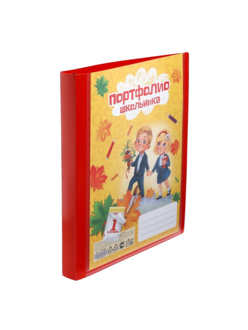 Папка-портфолио А4, Calligrata «Гимназия», пластиковая, на 4 кольцах, для школьника, без вкладышей