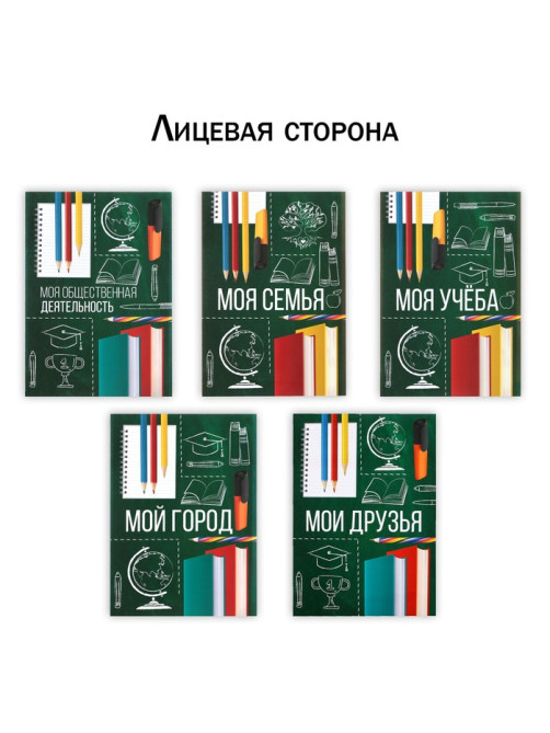 Папка школьная с креплением «Портфолио школьника», 10 листов-разделителей, 21.5×30 см