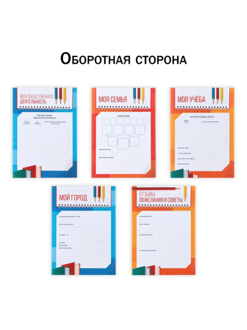 Папка школьная с креплением «Портфолио школьника», 10 листов-разделителей, 21.5×30 см