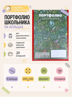 Папка-портфолио А4, Calligrata «Веселая школа», пластиковая, на 4 кольцах, для школьника, 20 файлов