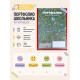 Папка-портфолио А4, Calligrata «Веселая школа», пластиковая, на 4 кольцах, для школьника, 20 файлов