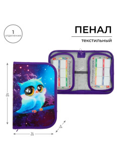 Пенал школьный, 1 секция, 13×21×4 см «Совушка»