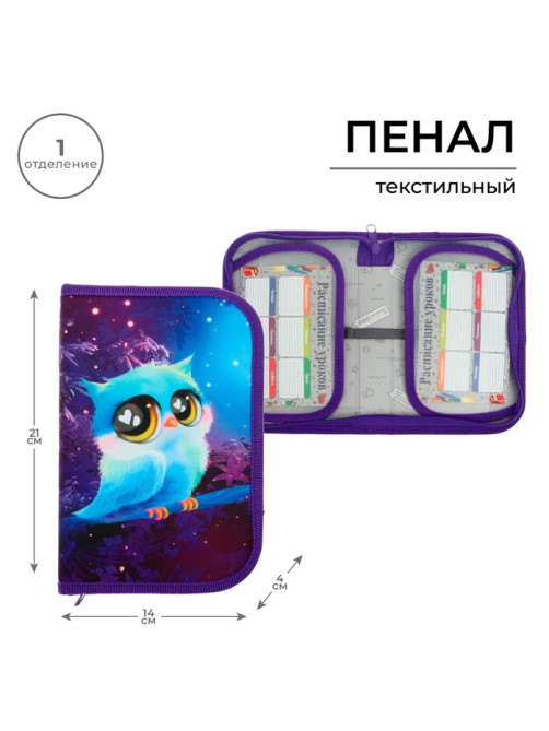 Пенал школьный, 1 секция, 13×21×4 см «Совушка»