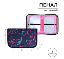 Пенал школьный, 3 секции, 14×21×4 см «Кошечка»