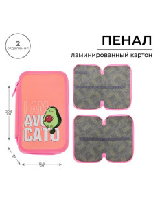 Пенал школьный, 2 секции, 12.5×20.5×4 см «Авокадо-кот»
