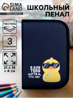 Пенал школьный, 3 секции, 14×21×4 см «Утка»