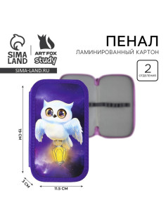 Пенал школьный, 2 секции, 19×10.5 см «Совушка»
