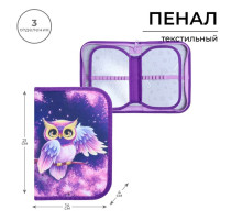Пенал школьный, 3 секции, 14×21×4 см «Совушка»