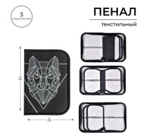 Пенал школьный, 3 секции, 14×21×4 см «Волк графика»