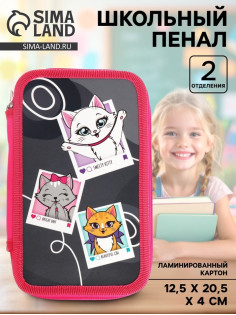 Пенал школьный, 2 секции, 12.5×20.5×4 см «Котята»
