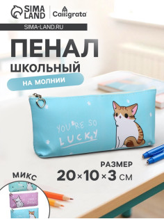 Пенал школьный на молнии Calligrata «Котик», 1 отделение, плоский, МИКС