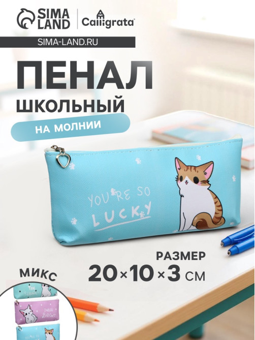 Пенал школьный на молнии Calligrata «Котик», 1 отделение, плоский, МИКС