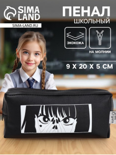 Пенал школьный, искусственная кожа «Аниме» 9×20×5 см
