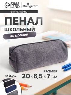 Пенал школьный на молнии Calligrata «Джинс», МИКС