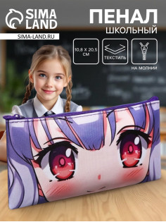 Пенал школьный, текстиль, плоский, 10.8×20.5 см «Аниме. Взгляд»
