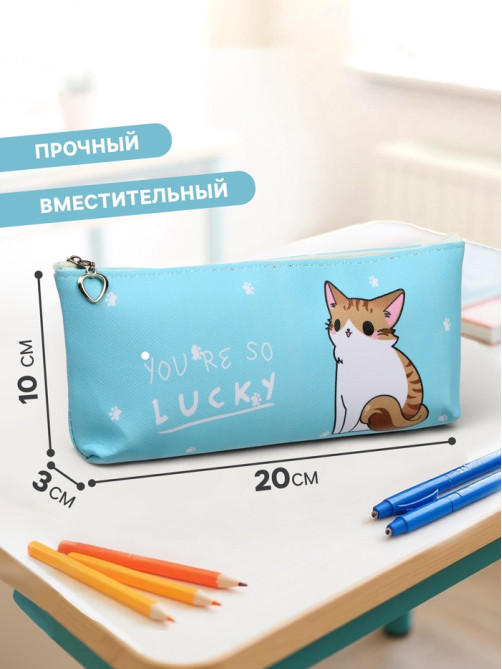 Пенал школьный на молнии Calligrata «Котик», 1 отделение, плоский, МИКС