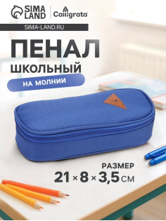 Пенал - футляр школьный Calligrata, на молнии, 2 отделения, текстиль, синий