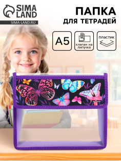 Папка для тетрадей, А5, пластиковая, 23×19×5 см