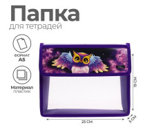 Папка для тетрадей, А5, пластиковая, 23×19×5 см