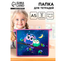 Папка для тетрадей, А5, пластиковая, 19×23×5 см «Совы»