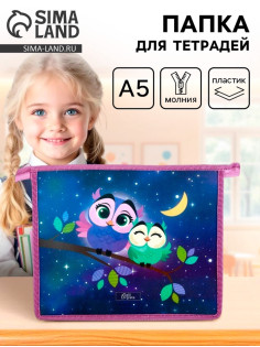 Папка для тетрадей, А5, пластиковая, 19×23×5 см «Совы»